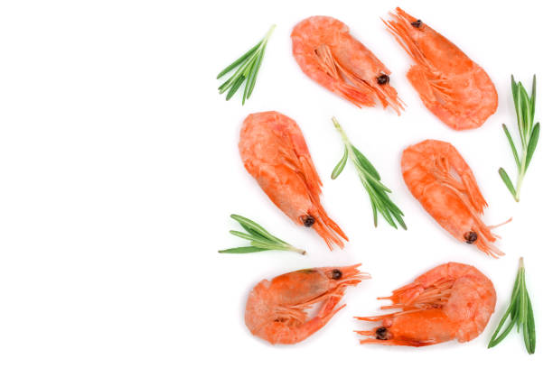 istock Red cooked prawn or shrimp with rosemary isolated on white background with copy space for your text. Top view. Flat lay 919201244