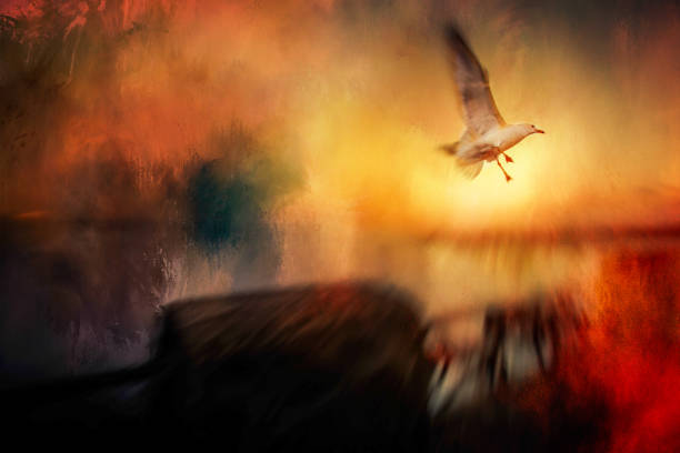 istock Seagull at Niagara Falls, Ontario 919214812
