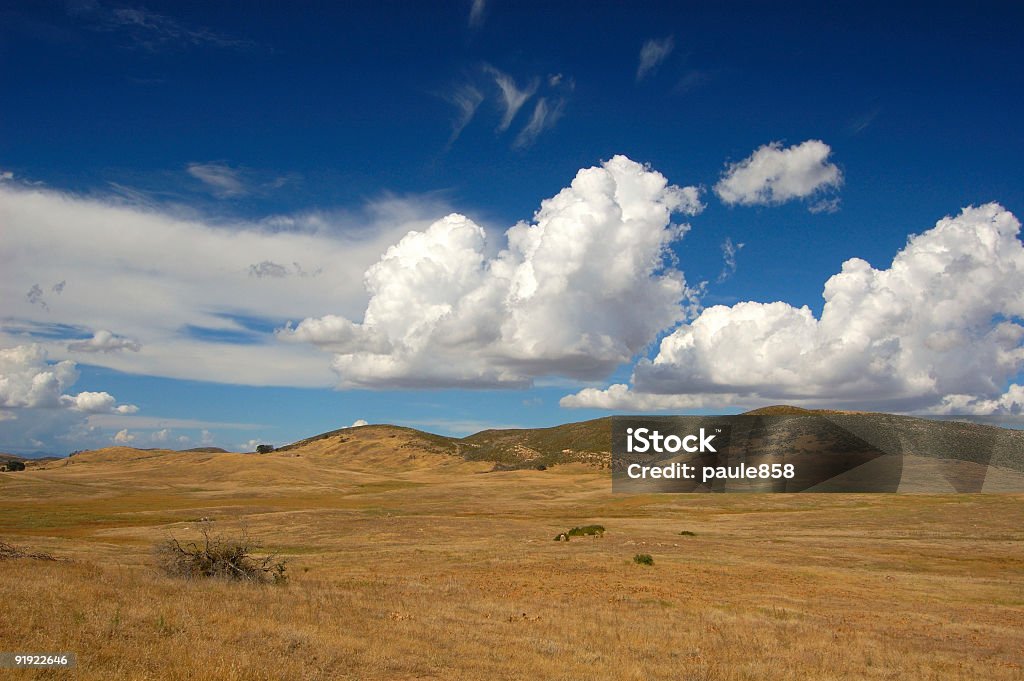 Cuyamaca Prado - Foto de stock de Montanha royalty-free