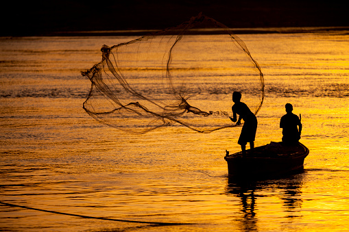 A fisherman is catching fish by throwing a net in the lake water in late afternoon at Sylhet bimanbandar area. on August 5, 2022, Sylhet, Bangladesh.