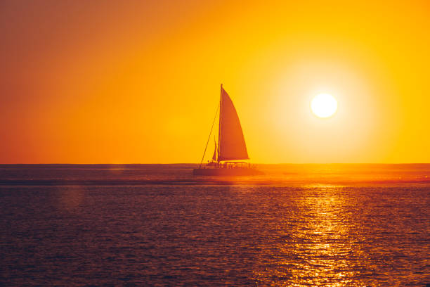 istock sunset sailing on mauritius island, indian ocean, africa 919288310