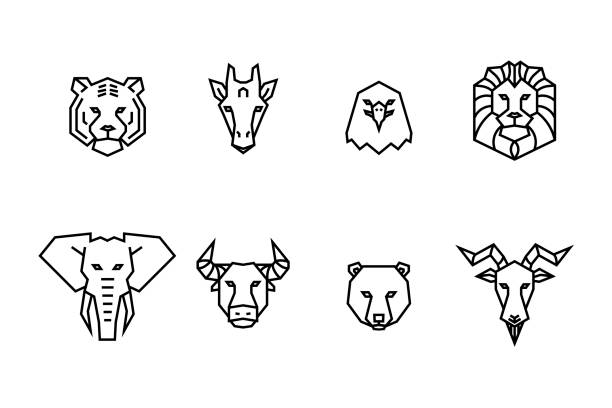 ilustraciones, imágenes clip art, dibujos animados e iconos de stock de 8 iconos de cabezas de animales. ilustraciones geométricas de vectores de animales de vida silvestre. - cara antropomórfica ilustraciones