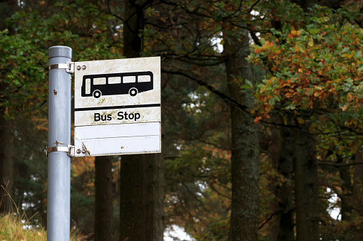 Black and white Bus stop sign fitted to a metal post