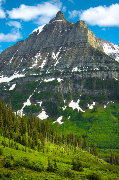 istock Montana USA - Stock image 919297090