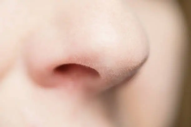 A macro image of a woman"u2019s nose.