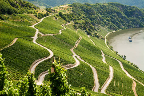 routes sinueuse - winding road sunlight field cultivated land photos et images de collection