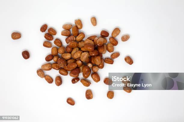 Senjet Tree Senjed Lotus Tree Fruit Stock Photo - Download Image Now - Afghanistan ...