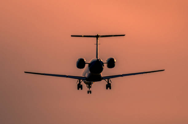 istock Airplane landing at sunset 919307042