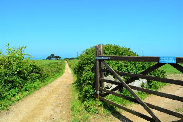 istock Fence on Country Lane 919309526