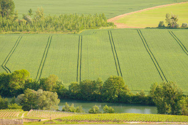 istock Marne river in France 919312724