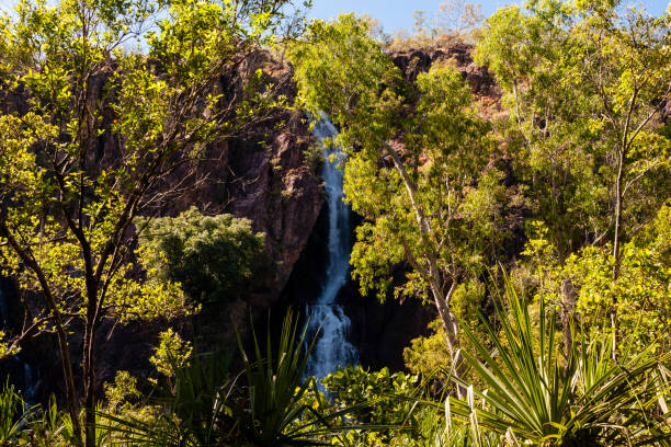 the wangi falls, litchfield national park, northern territory, australia - wangi falls imagens e fotografias de stock