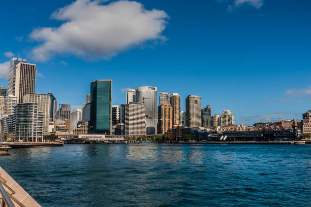 istock The Sydney Harbor 919351560