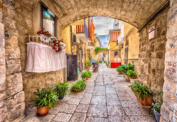 istock Alleyway in old white town Bari 919351804