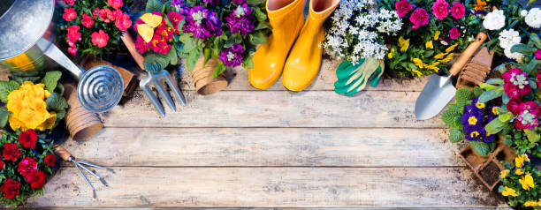 istock Gardening Top View Composition - Tools And Flowerpots On Wooden Table 919369604