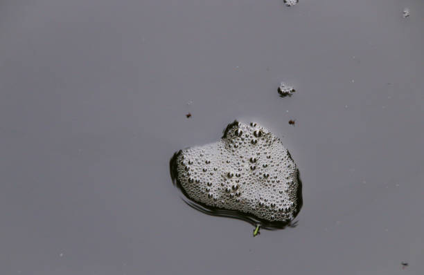 istock Hearts on the Water 919374686