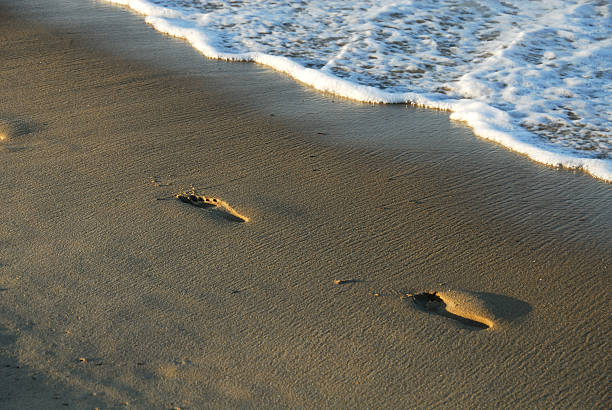 istock Evidence of Life 91937912