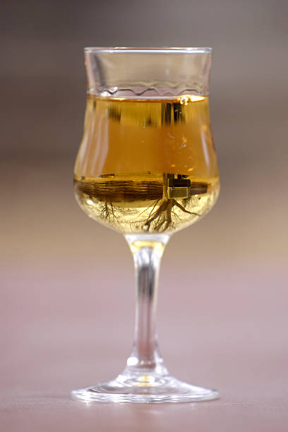 Renaissance, rummer wine glass and bottle with green grapes  on the burgundy background.