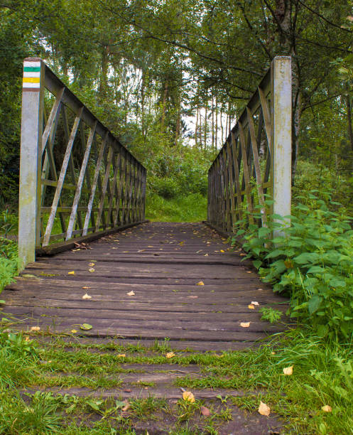 istock Wooden bridge across the river 919382264