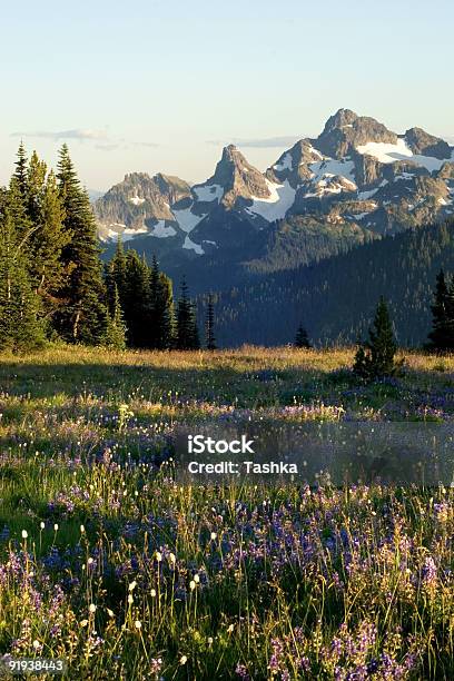 Świt Punkt - zdjęcia stockowe i więcej obrazów Stan Waszyngton - Stan Waszyngton, Góra Mount Rainier, Inwigilacja