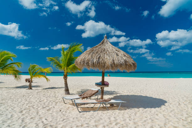 istock caribbean island Aruba 919384686