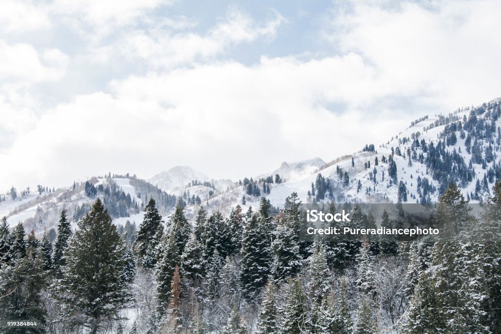 neige des montagnes enneigées en hiver de l’utah - Photo de Utah libre de droits