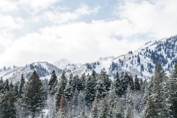 snow capped mountains in utah winter winter storm in the mountains of utah ogden utah photos stock pictures, royalty-free photos & images