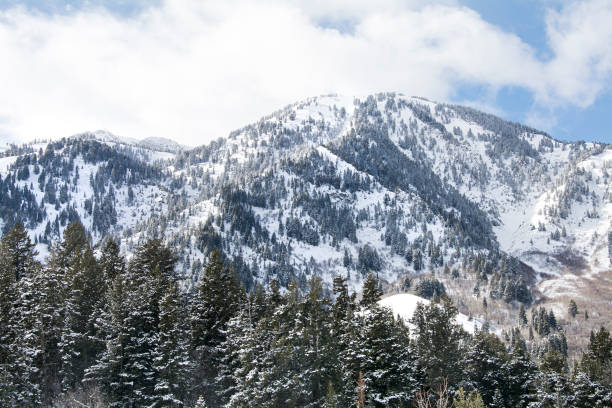 istock snow capped mountains in utah winter 919384880