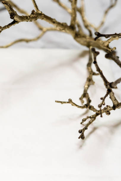 istock Gift box handmade from white paper, dry twigs, spruce. 919396746