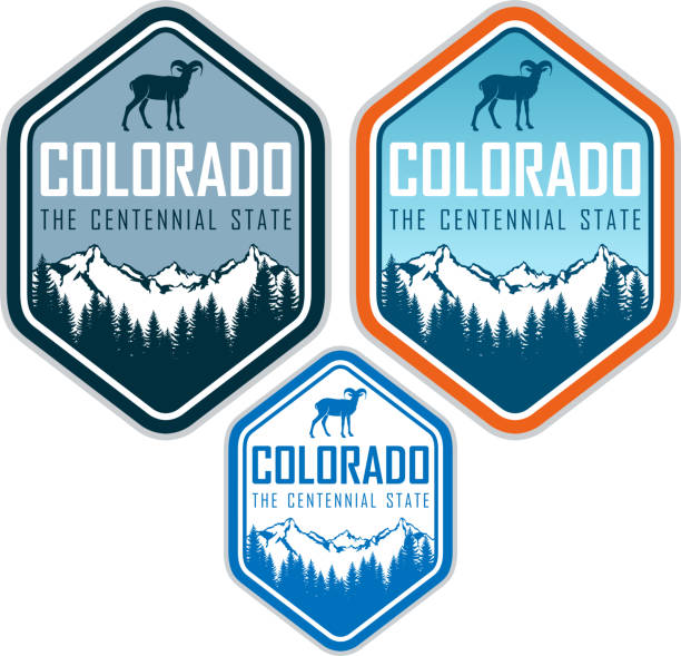 ilustrații de stoc cu colorado vector etichetă cu oi bighorn și pădure de munte - colorado