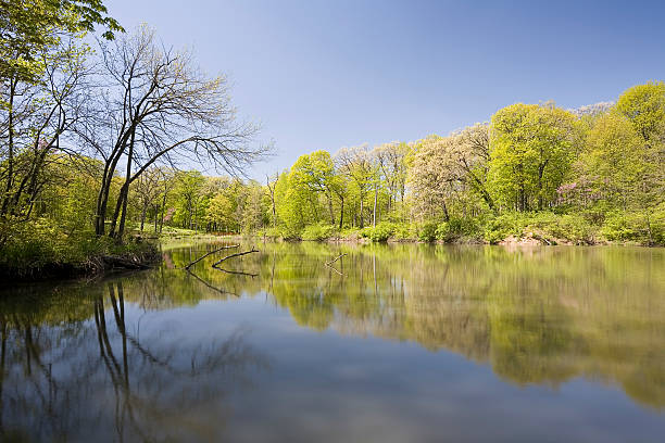 primavera vista al lago - lisle fotografías e imágenes de stock