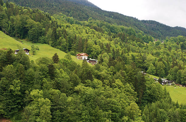 Paisagem Alpes Bávaros - fotografia de stock