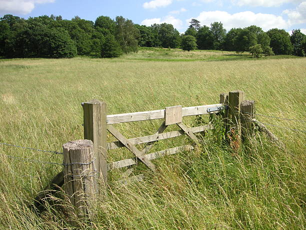 Disused gate into field stock photo