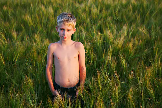 Young boy in wheatfield at sunset.