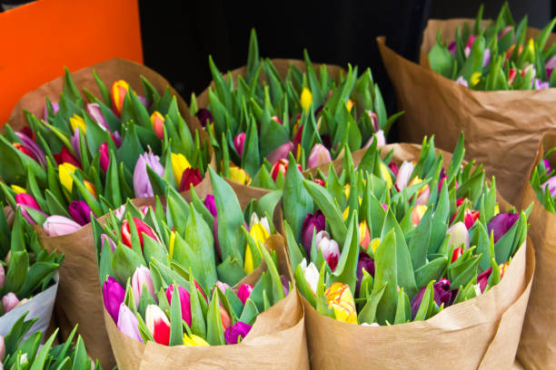istock Colorful tulips at market flowers 919415134