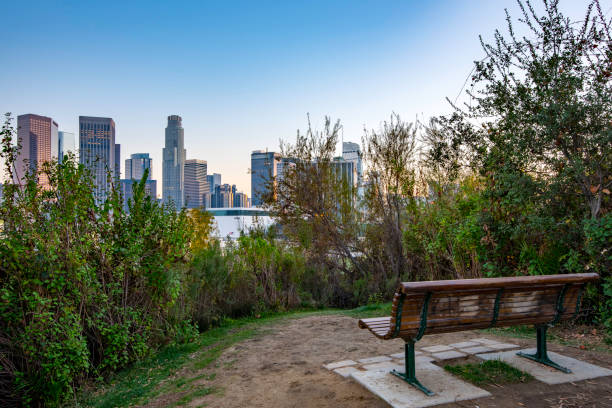 istock Downtown Los Angeles from a bench 919430740