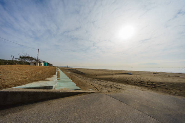 istock Makuhari Seaside Park, Chiba Japan 919438840