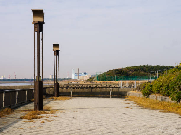 istock Makuhari Seaside Park, Chiba Japan 919439096