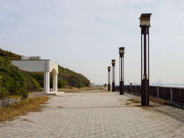 istock Makuhari Seaside Park, Chiba Japan 919439116