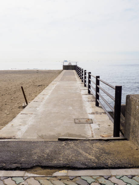 istock Makuhari Seaside Park, Chiba Japan 919439228