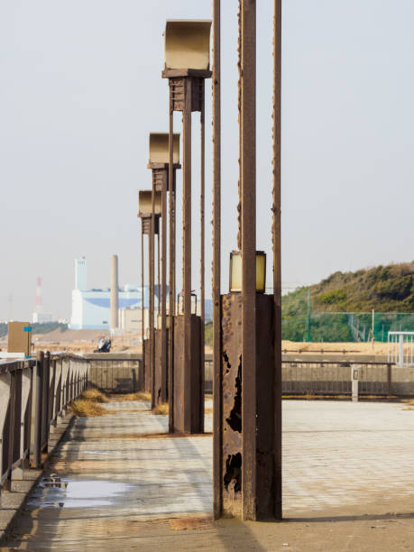 istock Makuhari Seaside Park, Chiba Japan 919439412