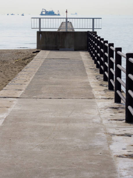 istock Makuhari Seaside Park, Chiba Japan 919439426