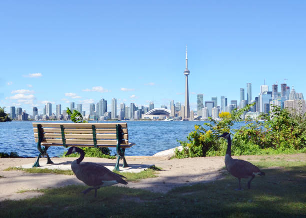 istock Toronto and Lake Ontario 919446682