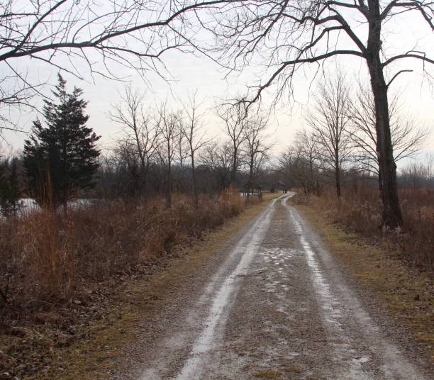 istock Long Gravel Road 919447128