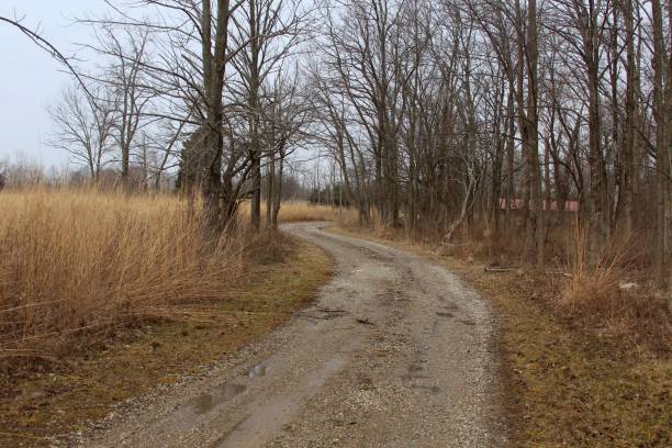 istock Winding Gravel Road 919447134