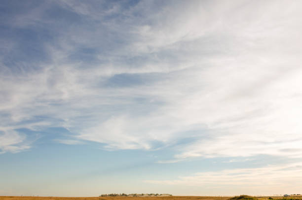 istock lush white cirrus clouds against a blue midday sky and a yellow field 919484094