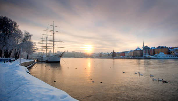 istock Stockholm city 919486360