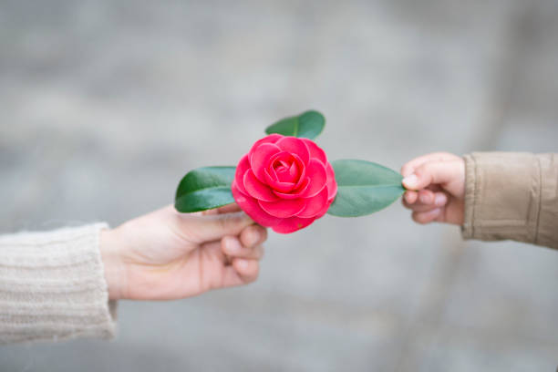 istock Mother and child hand red flower 919486608