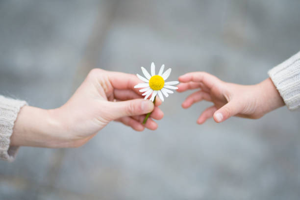 istock Parent and child handing white flowers 919486804