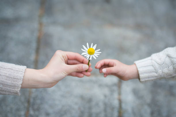 genitore e figlio che consegnano fiori bianchi - benedizione foto e immagini stock