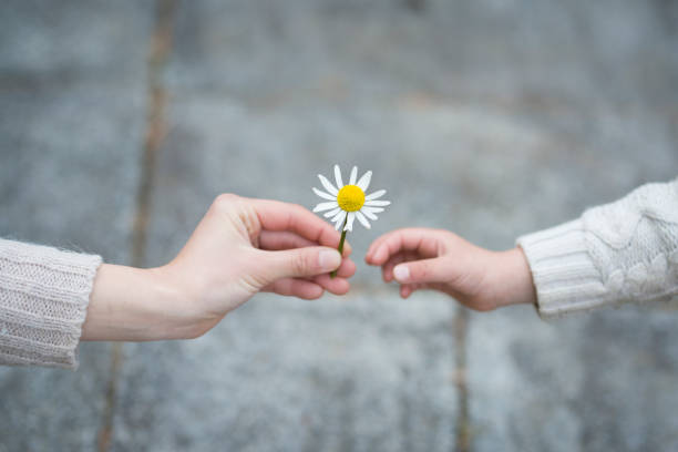 istock Parent and child handing white flowers 919486806
